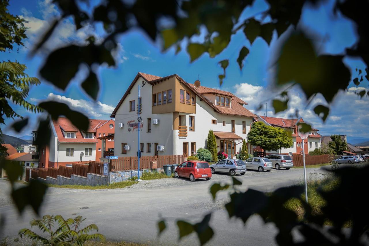 Pension Panorama Odorheiu Secuiesc Exterior foto
